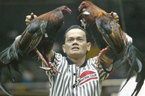 www sabong net|ph sabong log in.